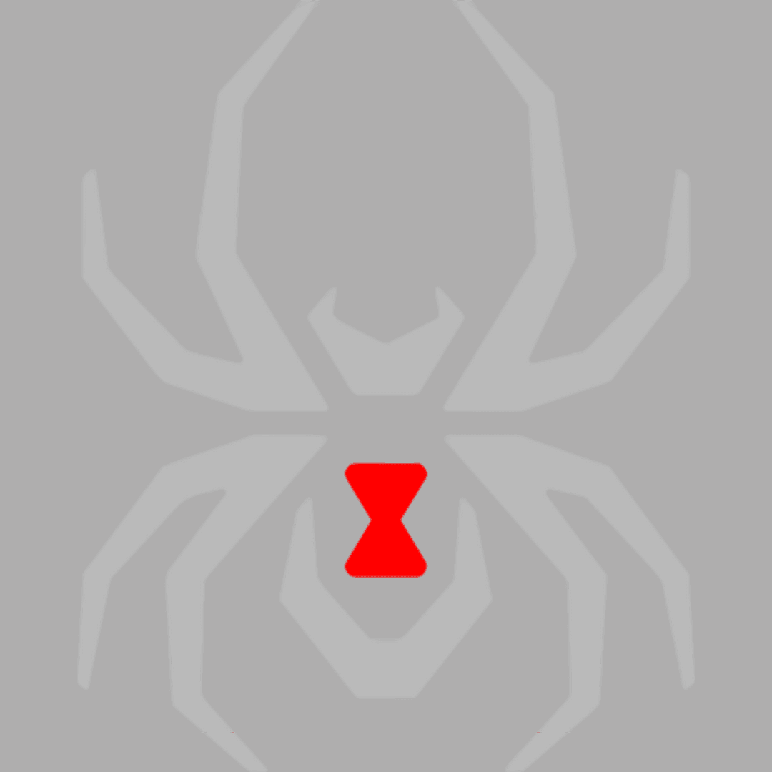 Black Widow Rear Slider Window Decal - J&J's Graphic Designs